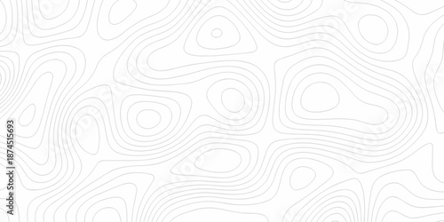 Minimal Lines Topographic contour lines grid map seamless pattern. Minimal Lines Topographic contour lines grid map seamless pattern. Background of the topography map with lines.