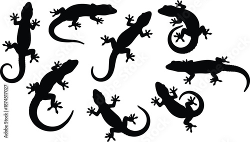 Black gecko lizard silhouettes collection, reptile wall climbing poses, isolated animal shapes, tropical wildlife design elements for logo, tattoo, decor, and vector illustration