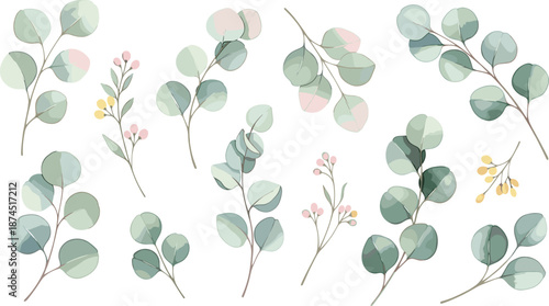 Minimal eucalyptus leaf branches collection with soft pastel colors, botanical greenery illustration set for modern floral design projects