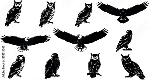 Black and White Bird Vector Illustration Set Featuring Eagles Hawks and Owls in Flying Perching and Hunting Silhouette Graphic Styles