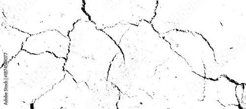 A stark black and white image showcases a heavily cracked and distressed surface, displaying significant structural damage. vector