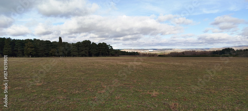Paisaje rural de campo abierto con bosque de pinos al fondo y cielo nublado en Burgos, España