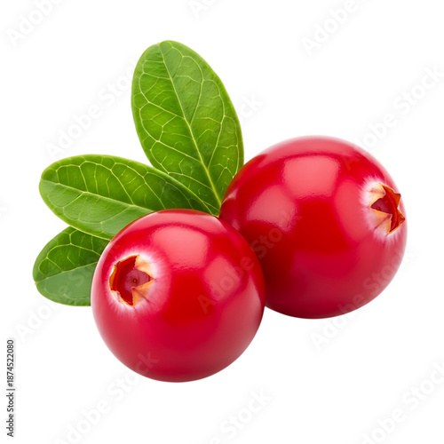 Vibrant cranberries with green leaves on black background