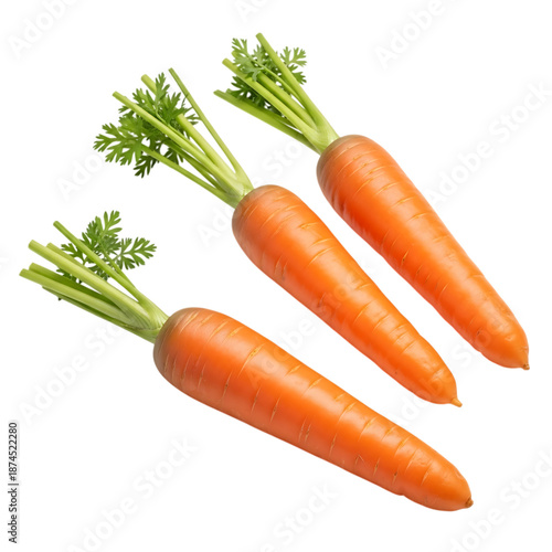 Fresh organic carrots with green leafy tops on black background