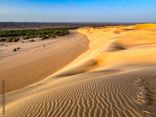 Azoueiga Dune in the Mauritanian desert. A view from the sand dune overlooking the Azoueiga oasis.