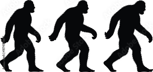 Bigfoot silhouette, Sasquatch walking, cryptid creature, black vector, folklore icon, mysterious figure, hairy beast, forest legend, myth pose, wilderness stride