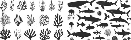 Marine life silhouette, ocean creatures, underwater animals, coral reef, seaweed vector, jellyfish, shark, whale, fish, black aquatic illustration, ocean biodiversity