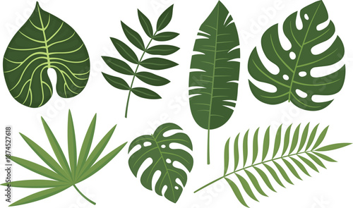 Green tropical palm leaves isolated on white background. Set of exotic jungle foliage