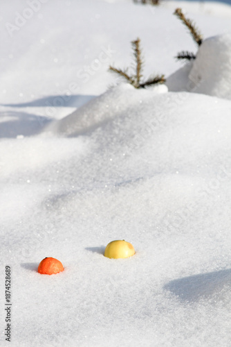 Photography Moscow Region, Russia - February 24, 2018: A yellow juicy apple and a tangerine lie in a snowdrift on clean white fluffy snow