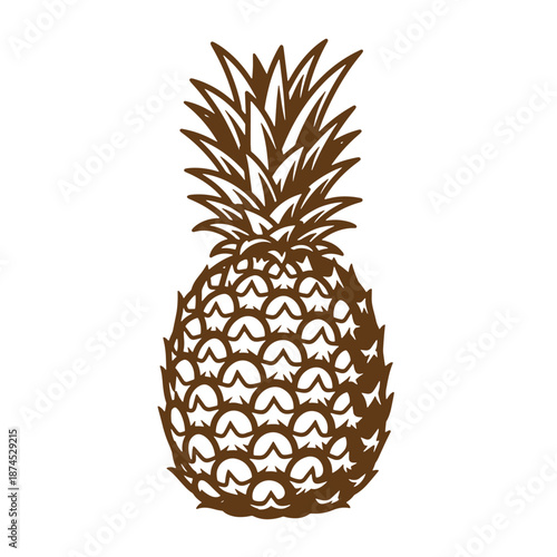 Brown pineapple illustration with prickly skin and leafy crown on white background  tropical fruit symbol