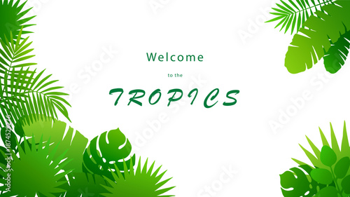 Vector drawn tropical leaves of vibrant green color on white background. Bright colorful isolated corner frame of different palm leaves. Horizontal HD banner mockup with copy space.