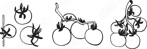 Hand-drawn illustration tomatoes in various arrangements. The illustration features three clusters of tomatoes with distinct shapes and sizes.