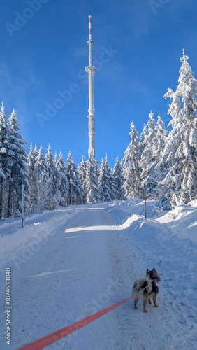 Seilbahn am Ochsenkopf Süd in Fleckl Fichtelgebirge Winter