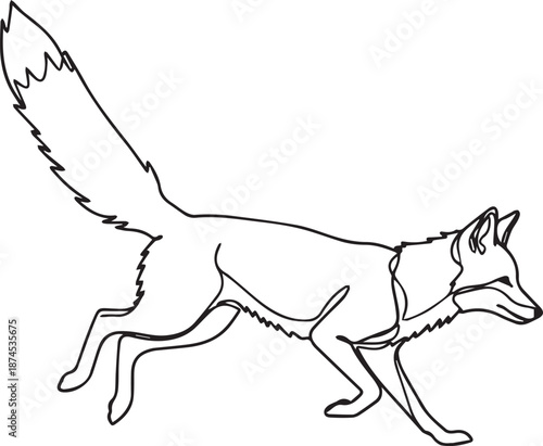 Running fox in motion with bushy tail and alert expression