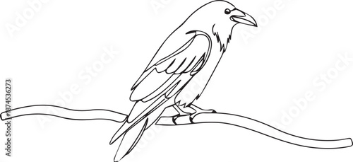 Bird perched on branch in elegant line art style