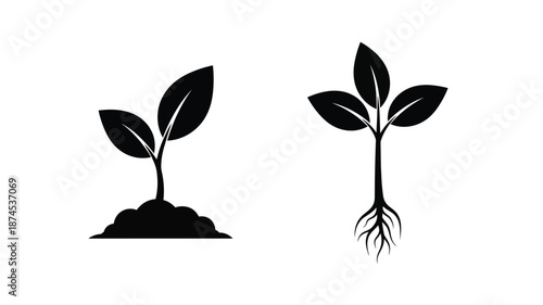 Two young plant sprouts with roots growing from the soil