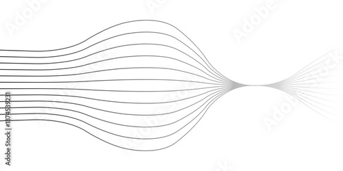 Abstract Flowing Lines Background with Curved Wave Pattern in Minimal Black and White Design