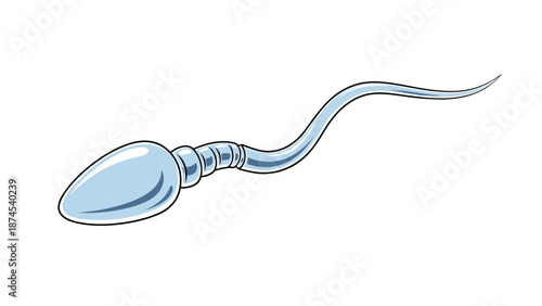 Detailed medical illustration of a single human sperm cell showing the head and long tail against a clean white background.
