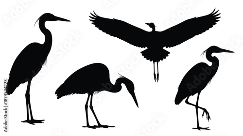 Silhouettes of wading birds including herons and egrets in a natural setting