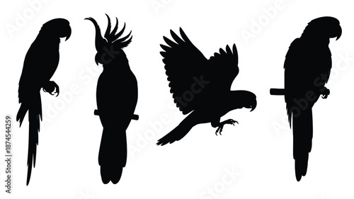 Silhouettes of colorful parrots in various poses and flight patterns