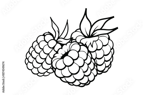 Dark Raspberries with Leaves, Fresh Berries Logo on White Background