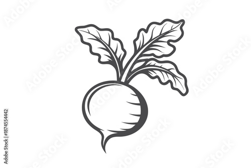 Isolated of a Turnip with Leaves on a White Background