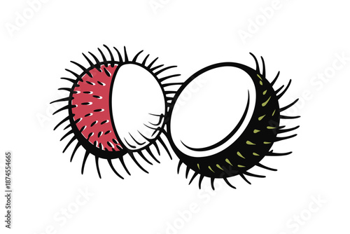 Isolated Rambutan Halves with Spiky Skin Detailed on White Background