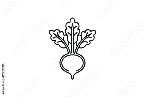 Minimalist Beet with Leaves Outline Vector, Fresh Root Vegetable on White Background