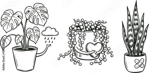  Hand-drawn emotional support plant characters vector 