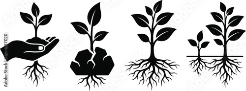 Plant growth concept with rooting for you metaphor vector