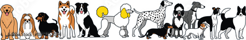 Large set of various dog breed vectors including golden retriever poodle dalmatian dachshund and border collie on blue background.