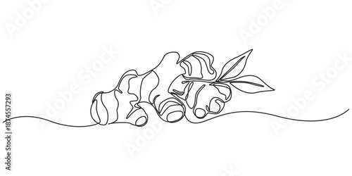 Ginger continuous one line drawing , One continuous line drawing healthy organic ginger for farm logo identity, Single one line drawing ginger vegetable concept continuous line draw design.