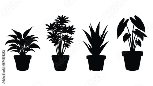 Four potted plants in black silhouette on transparent background