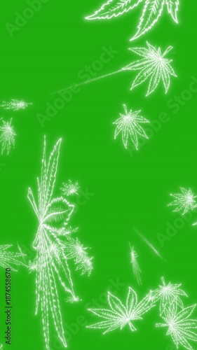 vertical falling cannabis leaves line animation on green screen background 4k video
