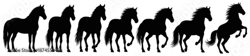Horse Silhouette Sequence – 7 Black Profiles Showing Standing, Walking, Trotting, and Rearing Poses
