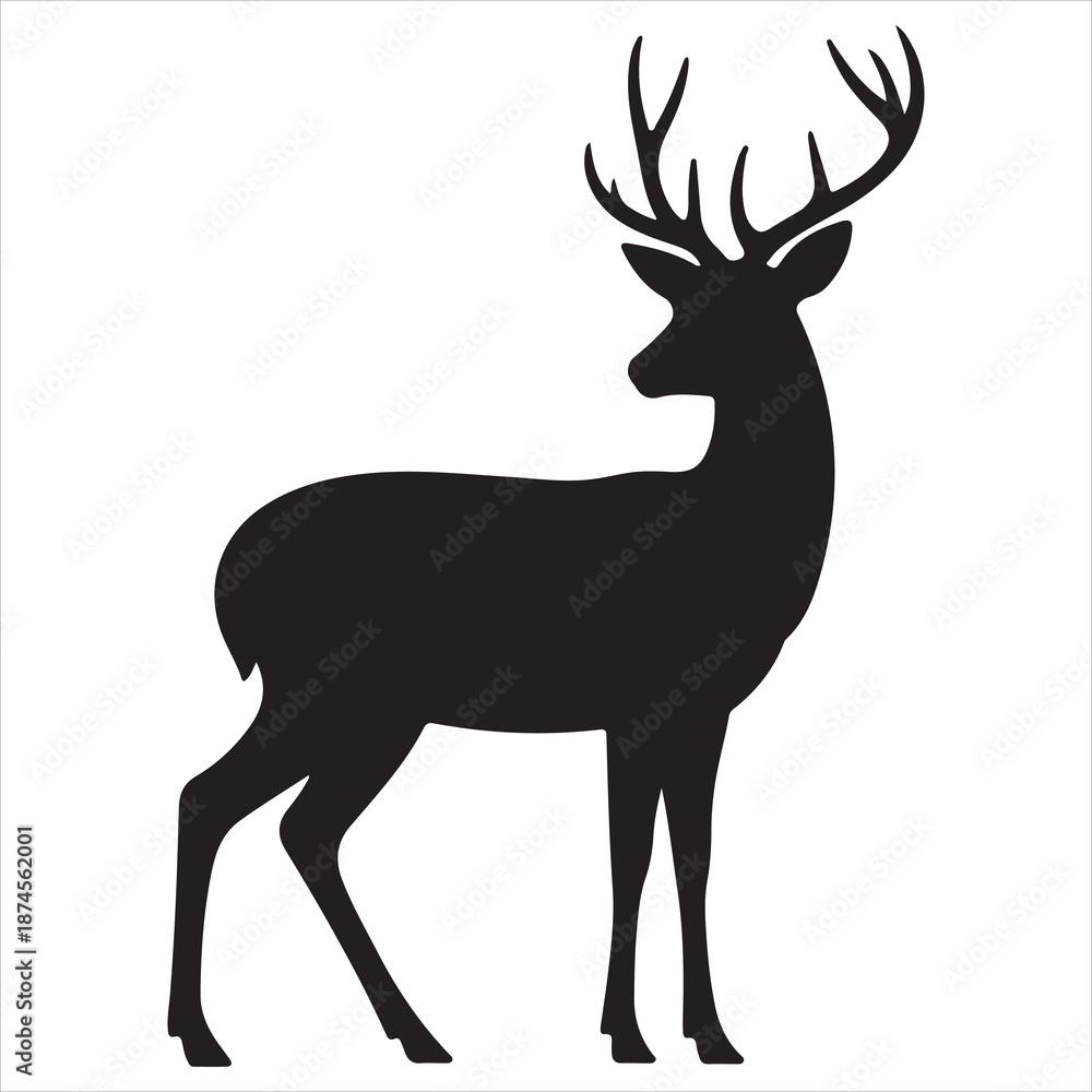 Fototapeta premium Deer Vector