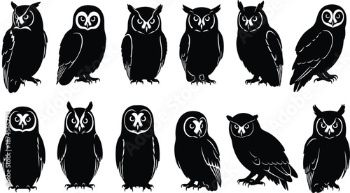 Owl silhouette collection, black and white bird illustration, nocturnal wildlife design, vector animal set, mysterious forest creature, abstract graphic art