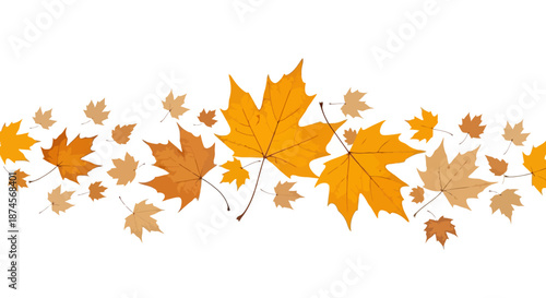Vibrant autumn leaves in various shades of orange and brown forming a decorative horizontal border, ideal for fall season designs and natural backgrounds