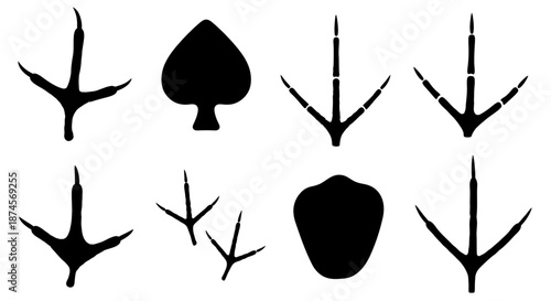 Diverse graphic silhouettes of bird tracks and unique abstract shapes, a minimalist vector illustration showcasing natural patterns and design elements