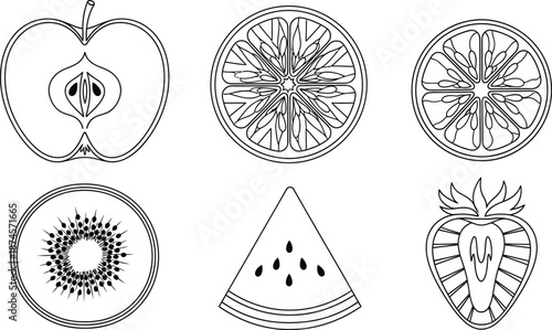 Line art vector set of 6 fruit slices apple orange lemon kiwi watermelon and strawberry