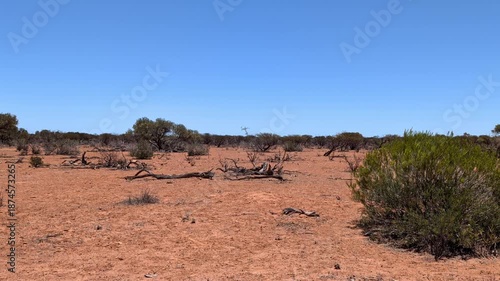Dry land in the Australian Outback shows scattered bushes and fallen branches under a clear blue sky