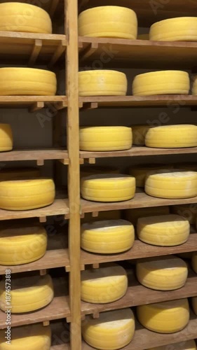 Cássia dos Coqueiros, São Paulo, Brazil - Cheese ripening room in an artisanal cheese factory