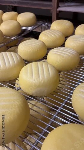 Cássia dos Coqueiros, São Paulo, Brazil - Cheese ripening room in an artisanal cheese factory