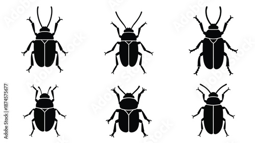 Three rows of black beetle illustrations presented as a striking silhouette