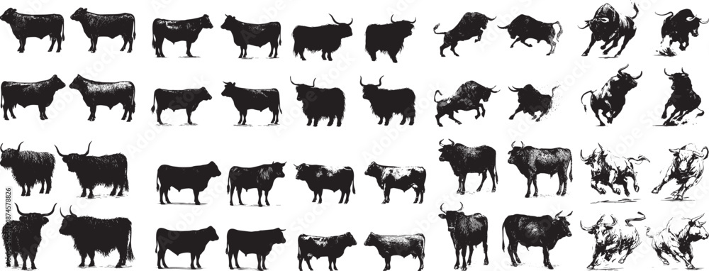 Obraz premium Diverse Cattle and Bull Silhouettes & Illustrations: Standing, Running, Charging Poses, Various Breeds Vector Art 