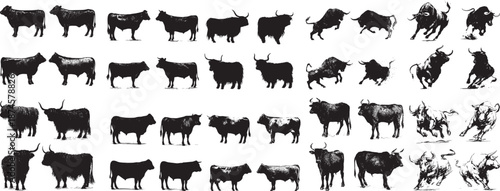 Diverse Cattle and Bull Silhouettes & Illustrations: Standing, Running, Charging Poses, Various Breeds Vector Art
