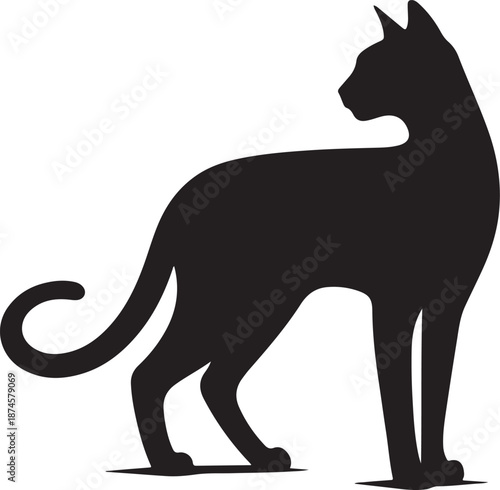 black cat silhouette