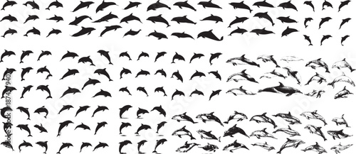 Extensive Collection of Dolphin Silhouettes and Detailed Hand-Drawn Illustrations in Various Poses
