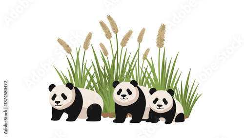 Adorable family of three pandas, including two adults and a cub, peacefully resting among tall green grass and bamboo shoots.