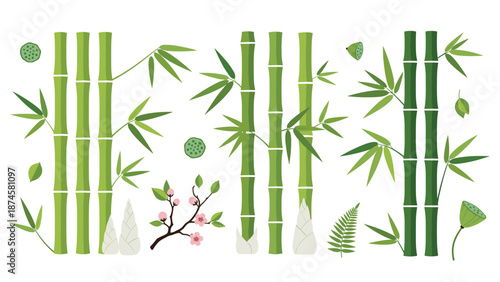 Beautiful collection of bamboo stalks, lush leaves, delicate cherry blossoms, and lotus seed pods, representing Asian nature.